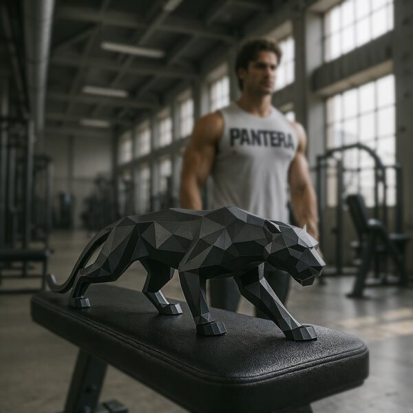 Pantera Black Polygon (Black)